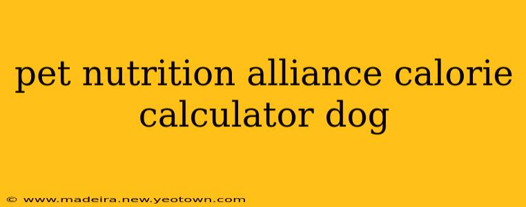 pet nutrition alliance calorie calculator dog