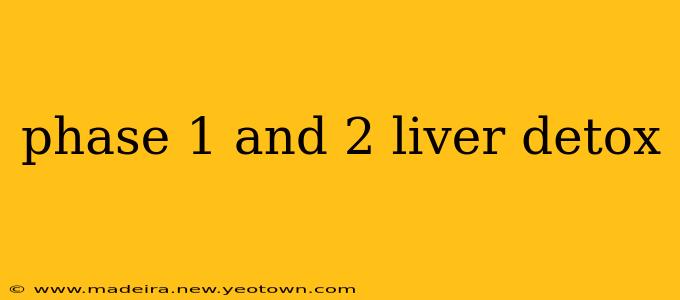 phase 1 and 2 liver detox