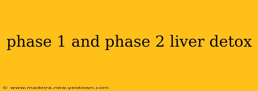 phase 1 and phase 2 liver detox