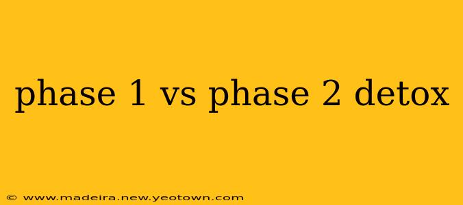 phase 1 vs phase 2 detox