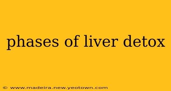 phases of liver detox
