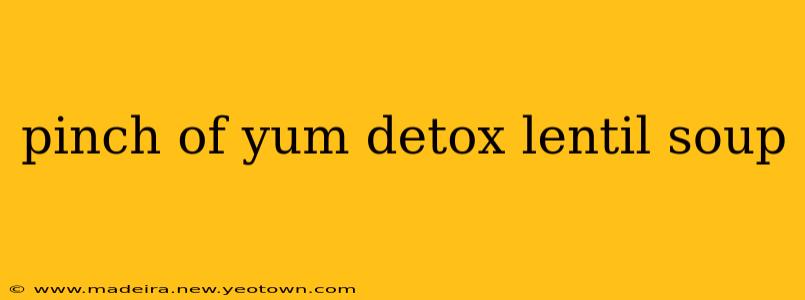 pinch of yum detox lentil soup