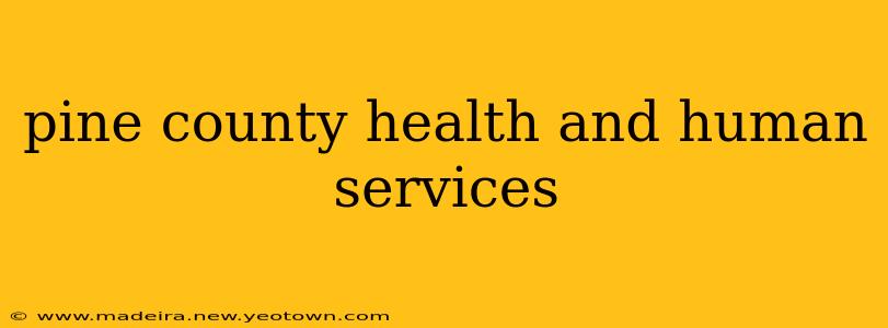 pine county health and human services