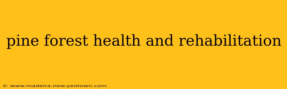 pine forest health and rehabilitation