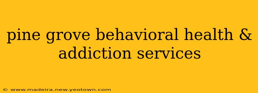 pine grove behavioral health & addiction services
