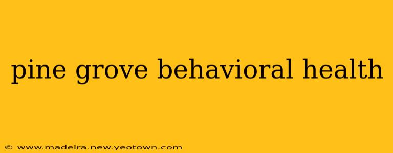 pine grove behavioral health