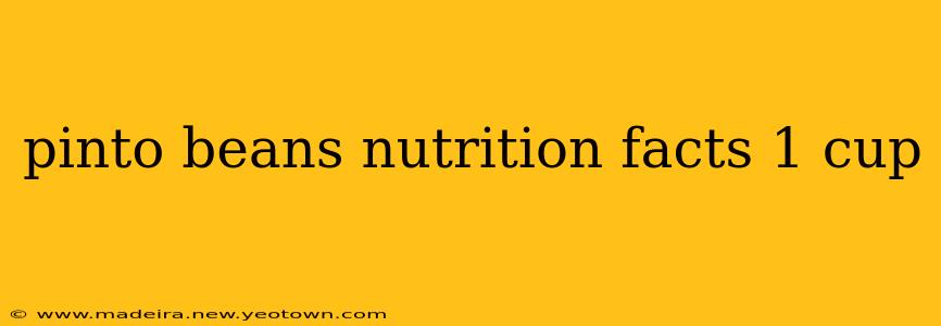 pinto beans nutrition facts 1 cup