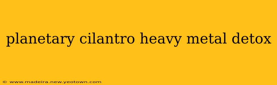 planetary cilantro heavy metal detox