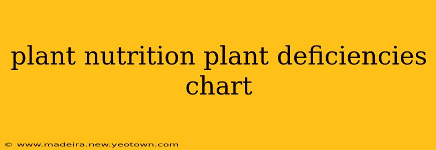 plant nutrition plant deficiencies chart
