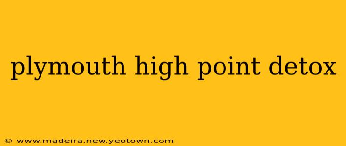 plymouth high point detox