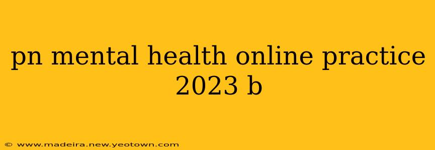 pn mental health online practice 2023 b