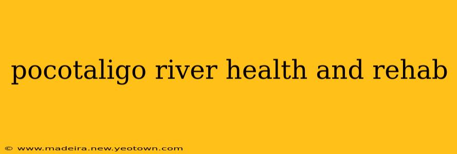 pocotaligo river health and rehab