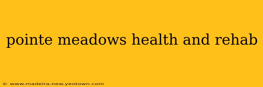 pointe meadows health and rehab