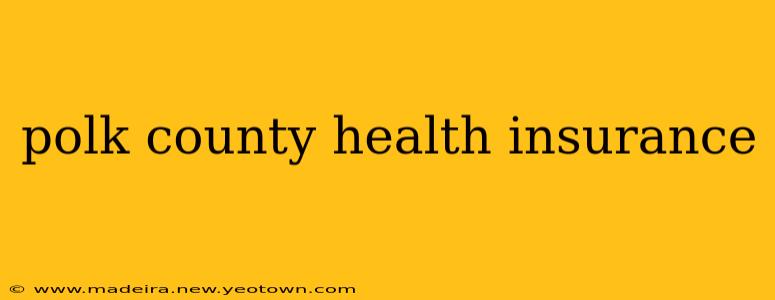 polk county health insurance