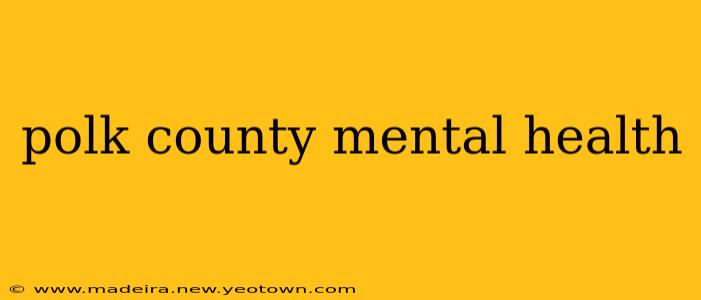 polk county mental health