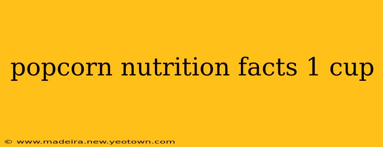 popcorn nutrition facts 1 cup