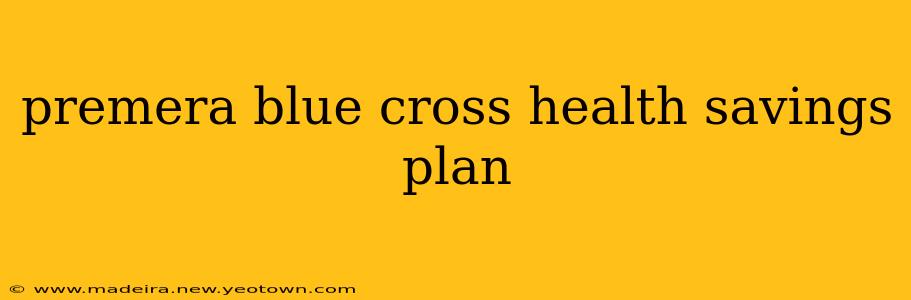 premera blue cross health savings plan