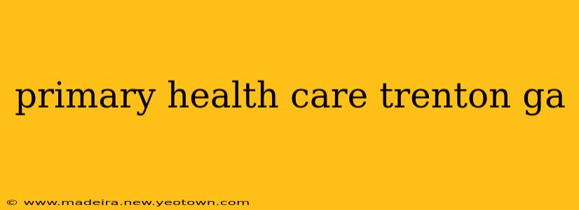 primary health care trenton ga