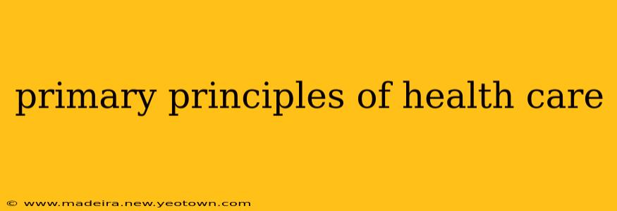 primary principles of health care