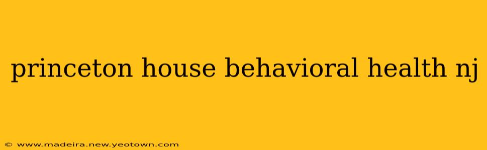 princeton house behavioral health nj