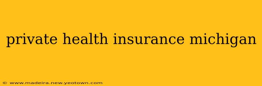 private health insurance michigan