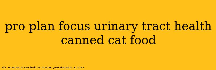 pro plan focus urinary tract health canned cat food