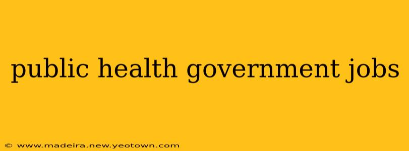 public health government jobs