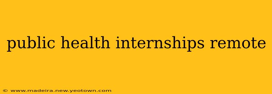 public health internships remote