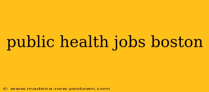public health jobs boston