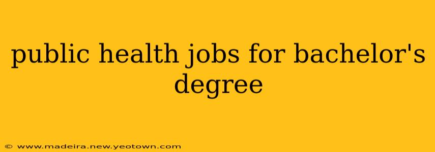 public health jobs for bachelor's degree