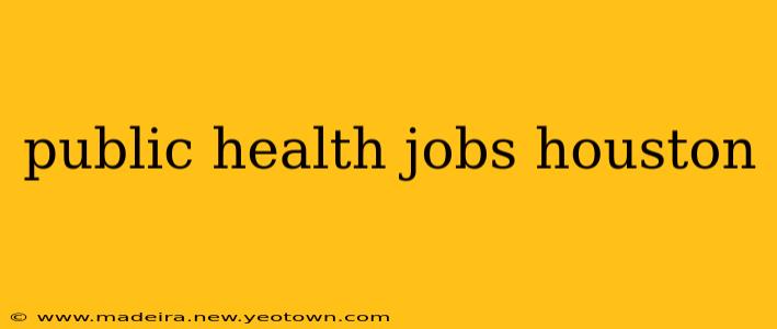 public health jobs houston