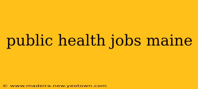 public health jobs maine