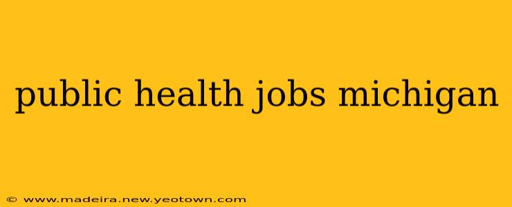 public health jobs michigan