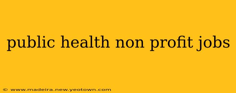 public health non profit jobs
