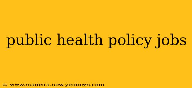 public health policy jobs
