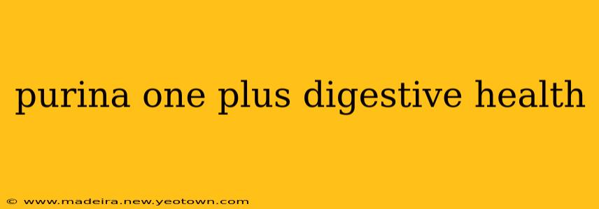 purina one plus digestive health