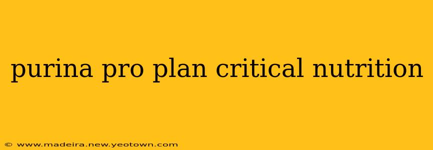 purina pro plan critical nutrition