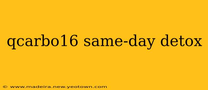qcarbo16 same-day detox
