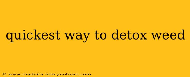 quickest way to detox weed