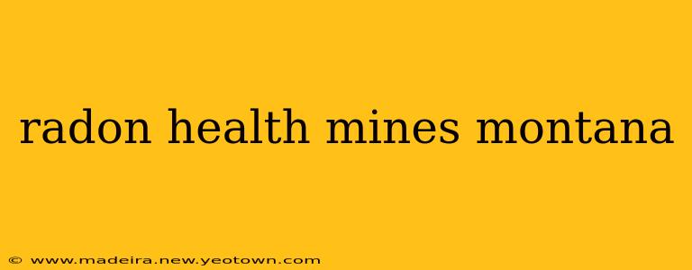 radon health mines montana