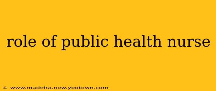 role of public health nurse