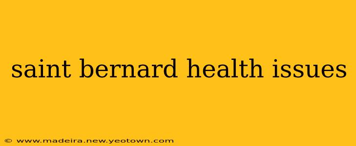 saint bernard health issues