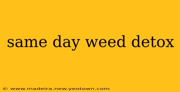 same day weed detox