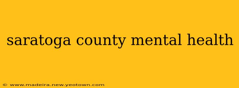 saratoga county mental health