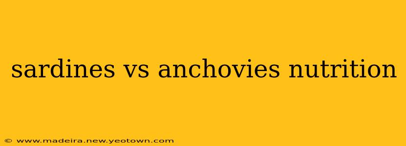 sardines vs anchovies nutrition