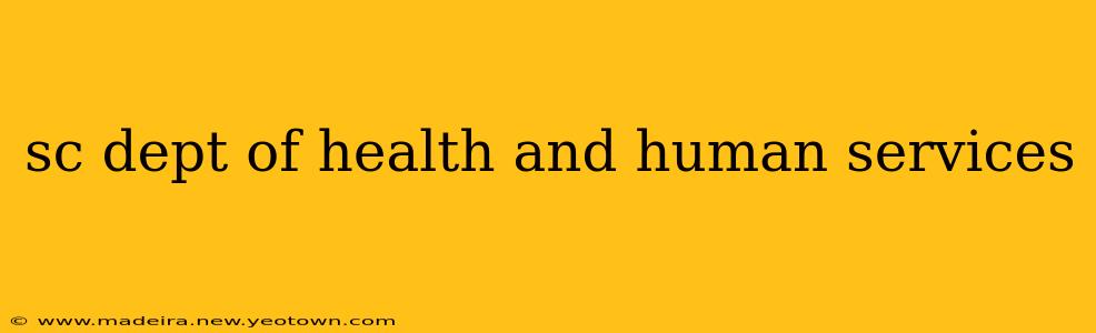sc dept of health and human services