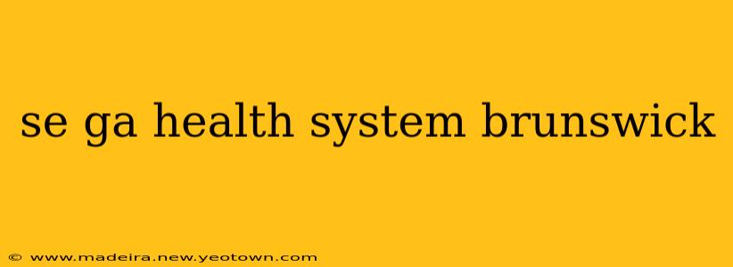 se ga health system brunswick