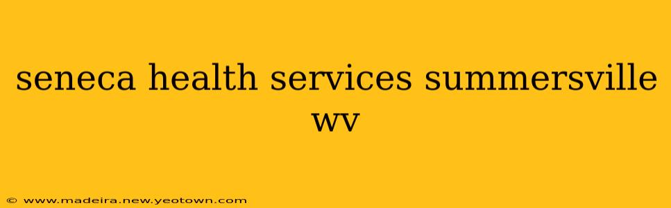 seneca health services summersville wv