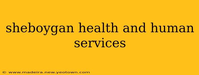 sheboygan health and human services
