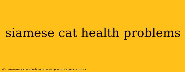 siamese cat health problems